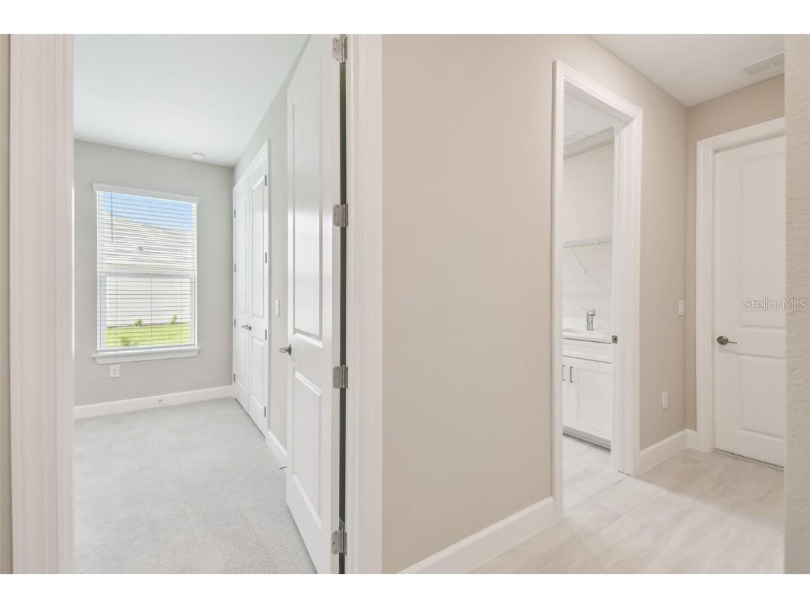 4709 Isonzo Way Wesley Chapel FL 33543 TB8387668 image38