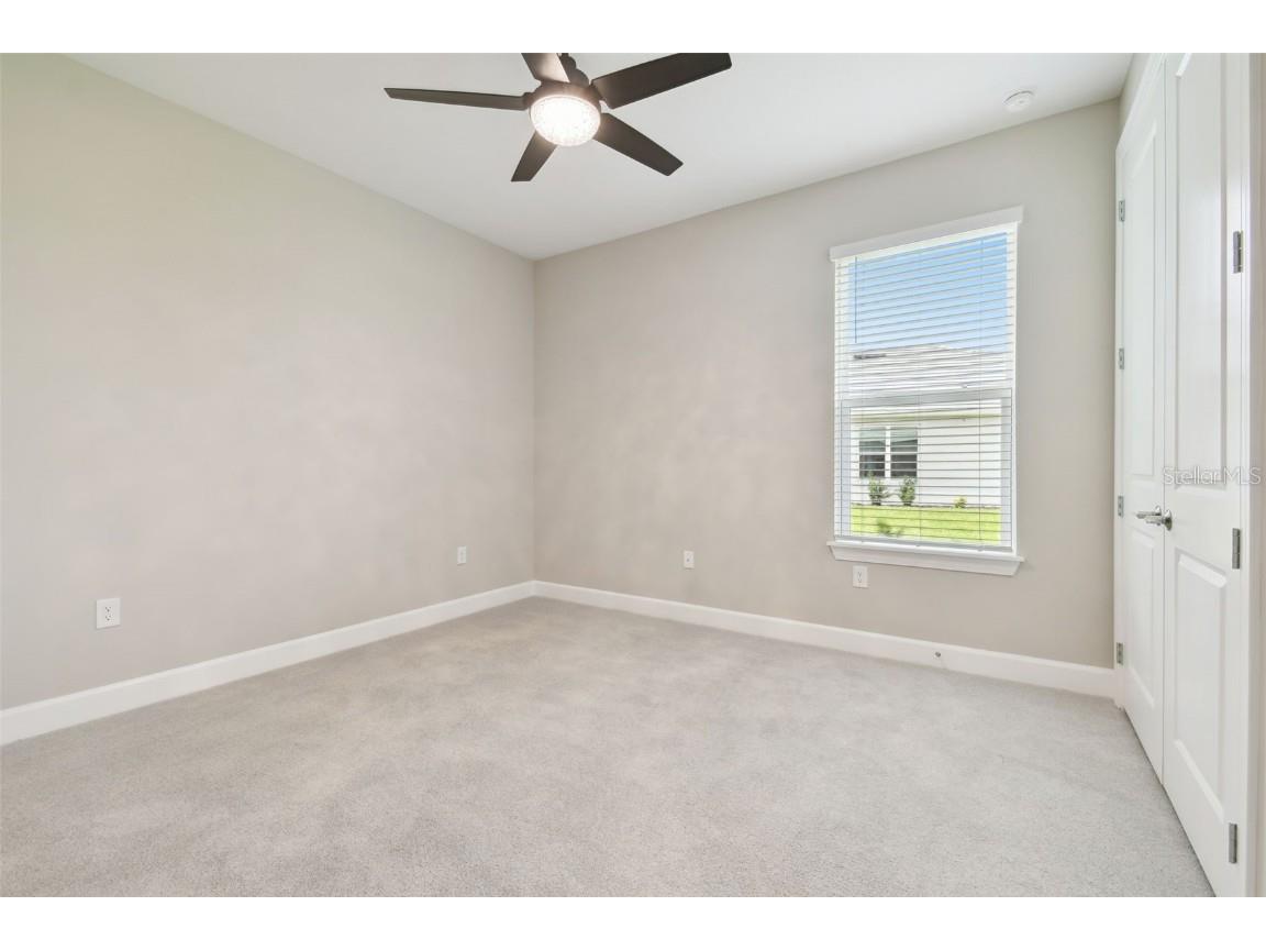 4709 Isonzo Way Wesley Chapel FL 33543 TB8387668 image39