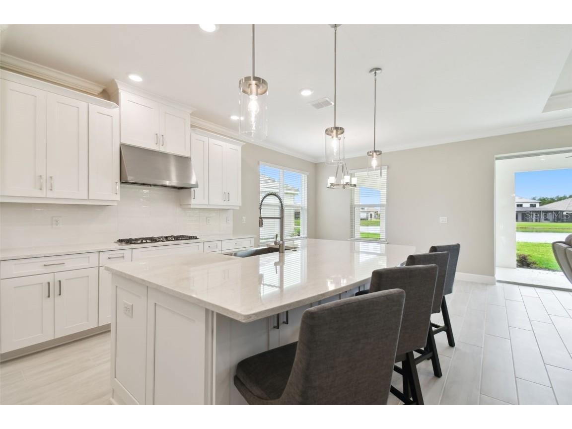 4709 Isonzo Way Wesley Chapel FL 33543 TB8387668 image4