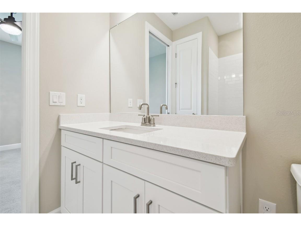 4709 Isonzo Way Wesley Chapel FL 33543 TB8387668 image43