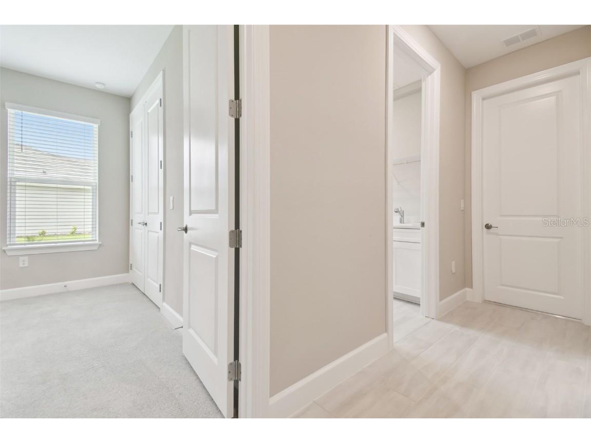 4709 Isonzo Way Wesley Chapel FL 33543 TB8387668 image47