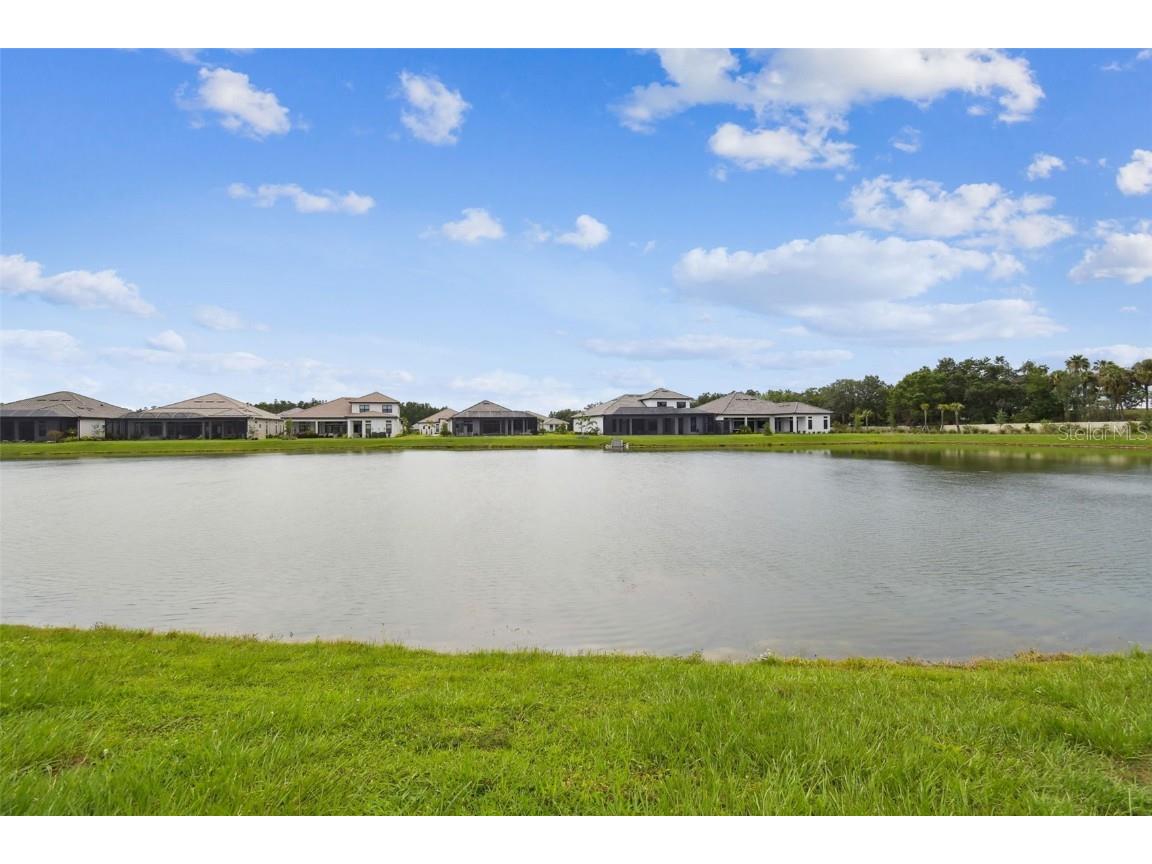 4709 Isonzo Way Wesley Chapel FL 33543 TB8387668 image54
