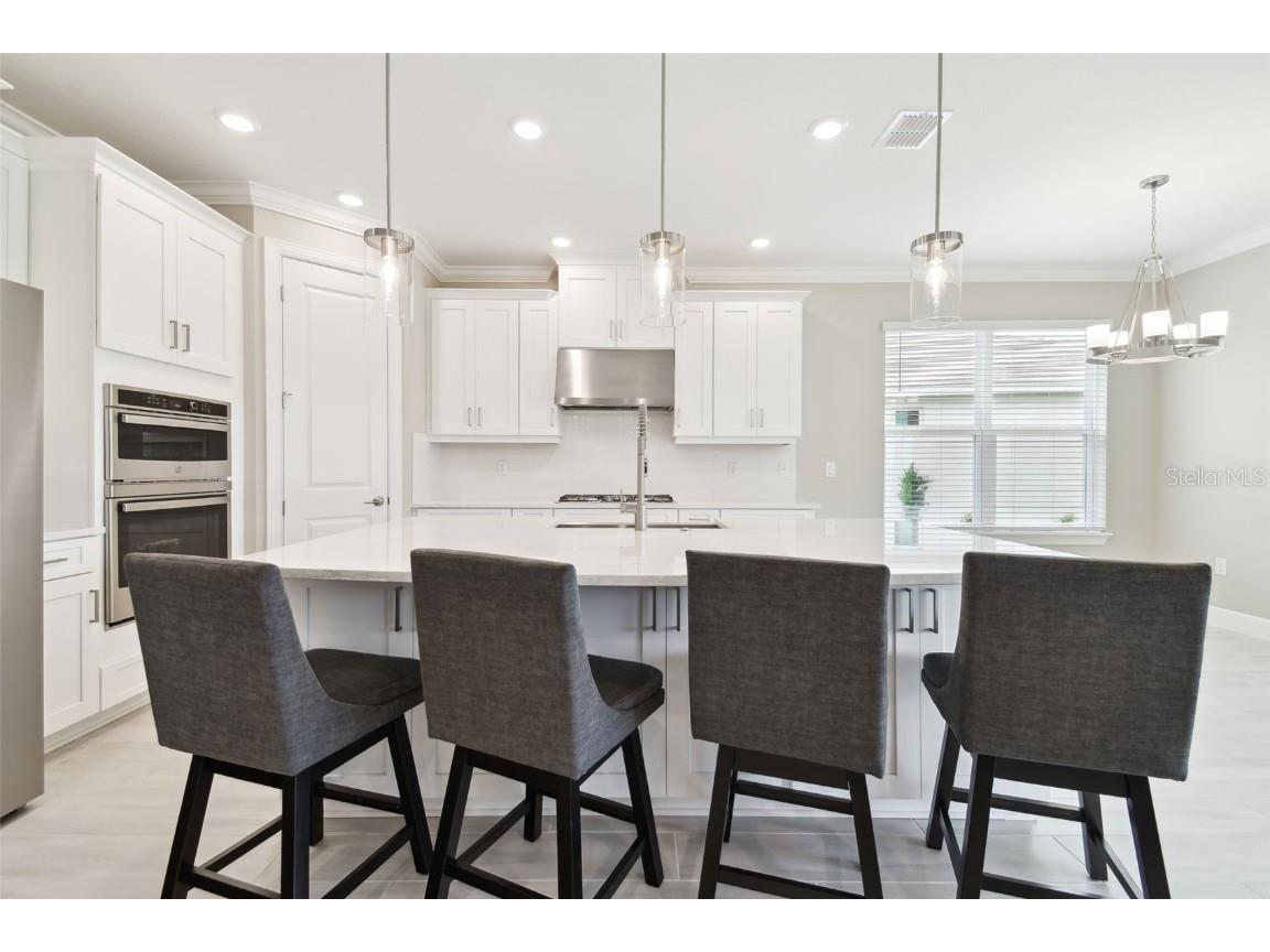 4709 Isonzo Way Wesley Chapel FL 33543 TB8387668 image7