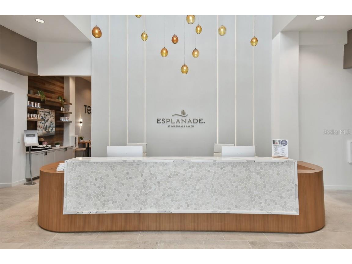 4709 Isonzo Way Wesley Chapel FL 33543 TB8387668 image88