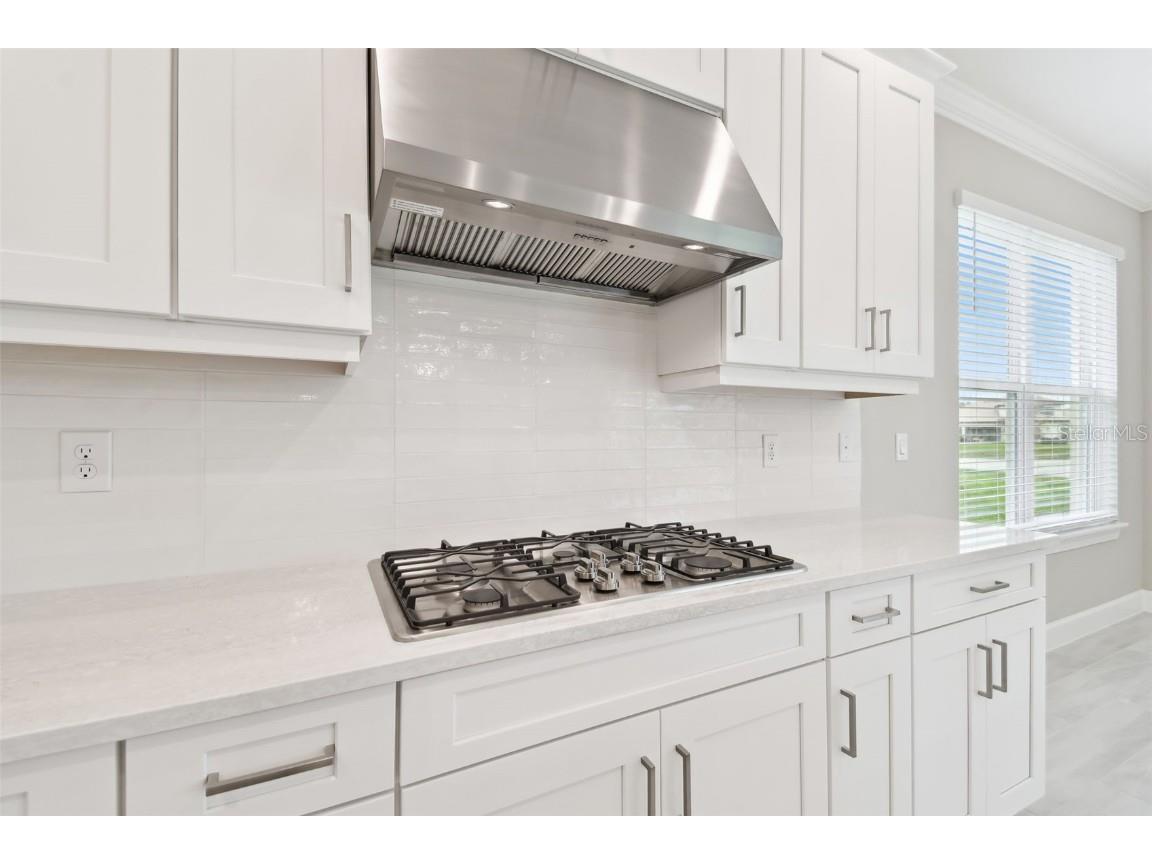 4709 Isonzo Way Wesley Chapel FL 33543 TB8387668 image9