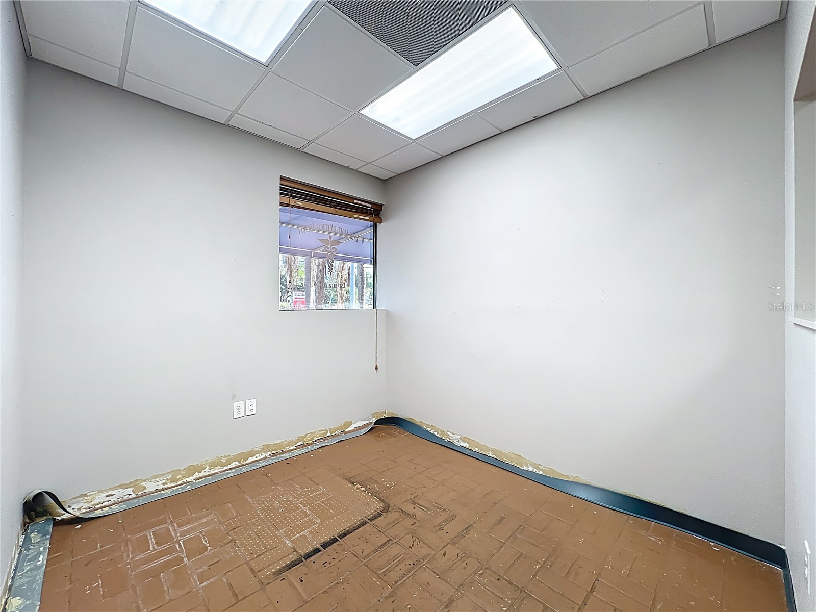 4709 N Highway 19a Mount Dora FL 32757 G5110788 image31