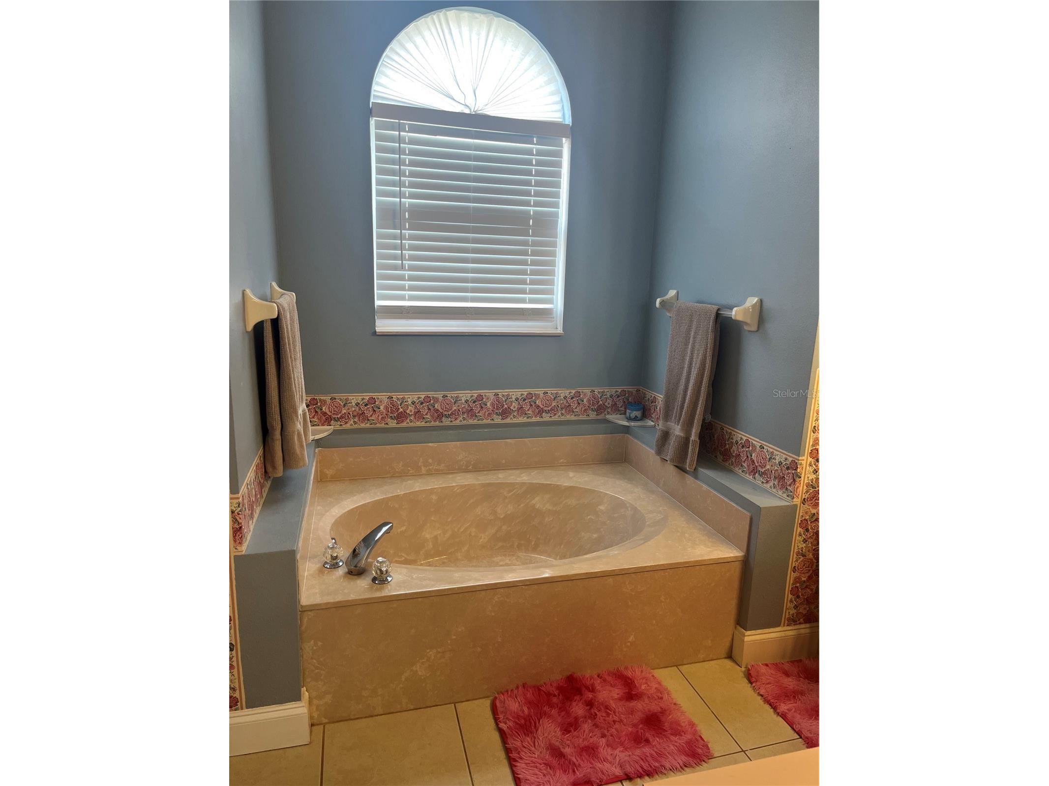 4709 Spaniel Street Orlando FL 32818 O6387612 image18