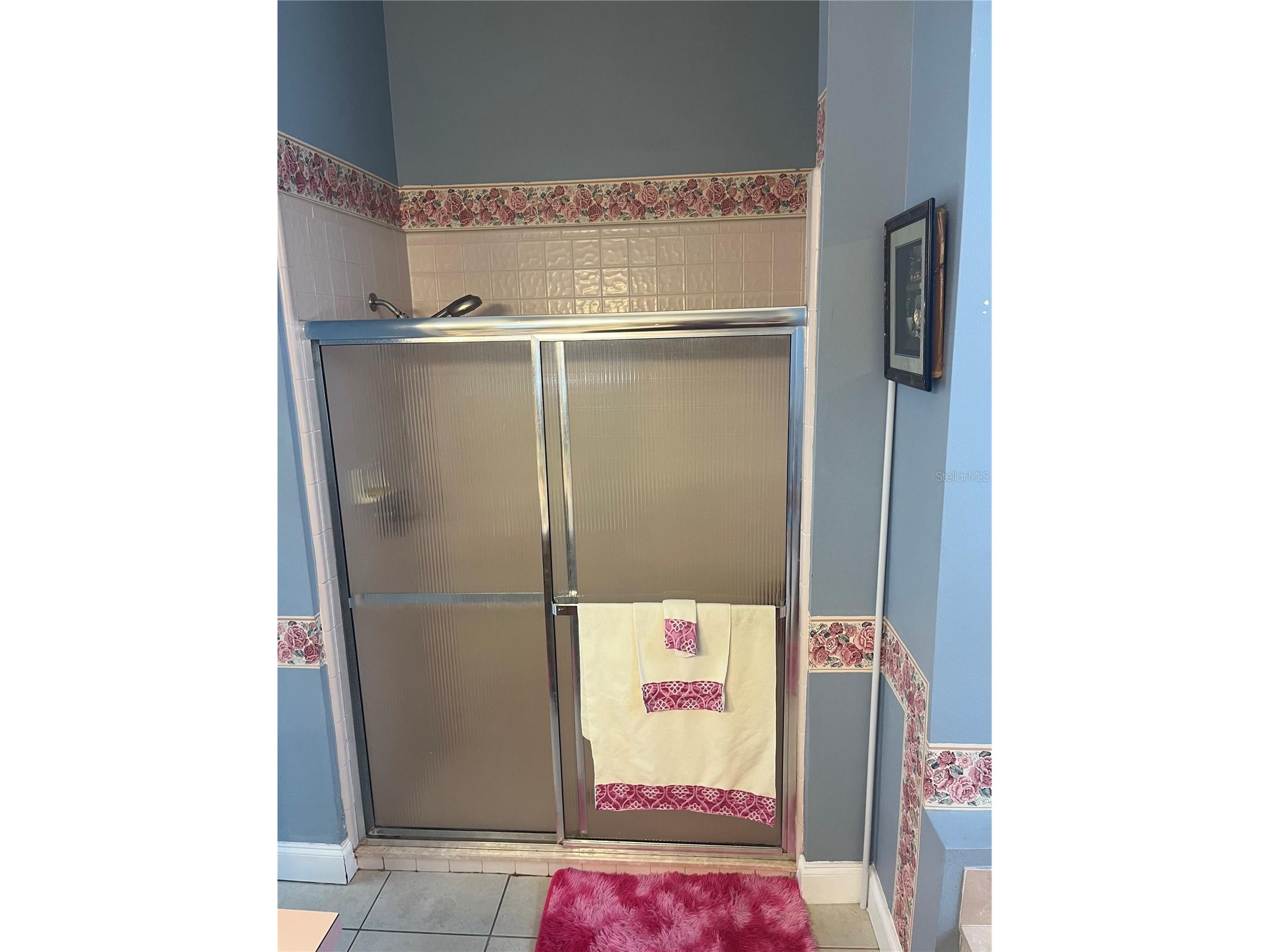 4709 Spaniel Street Orlando FL 32818 O6387612 image19
