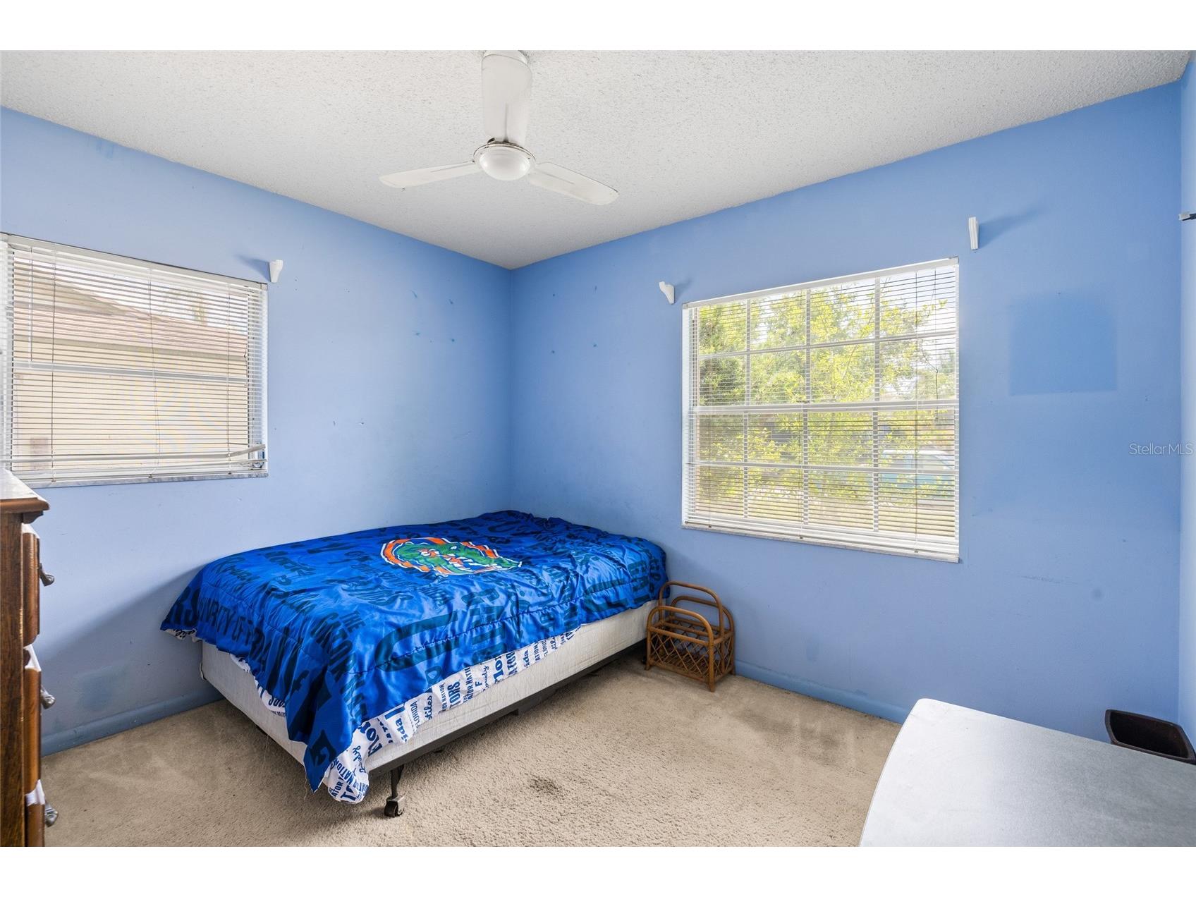 4709 Travertine Drive Tampa FL 33615 TB8526267 image17