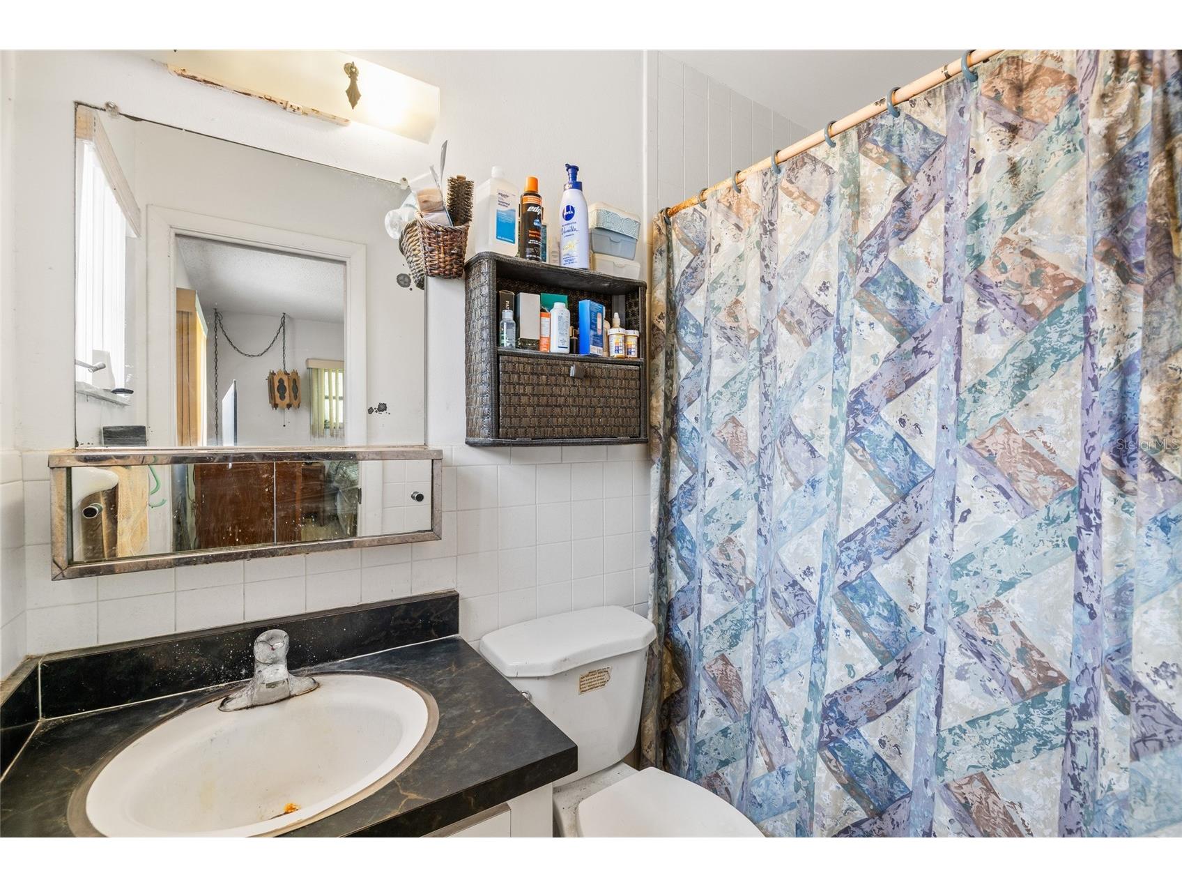 4709 Travertine Drive Tampa FL 33615 TB8526267 image19