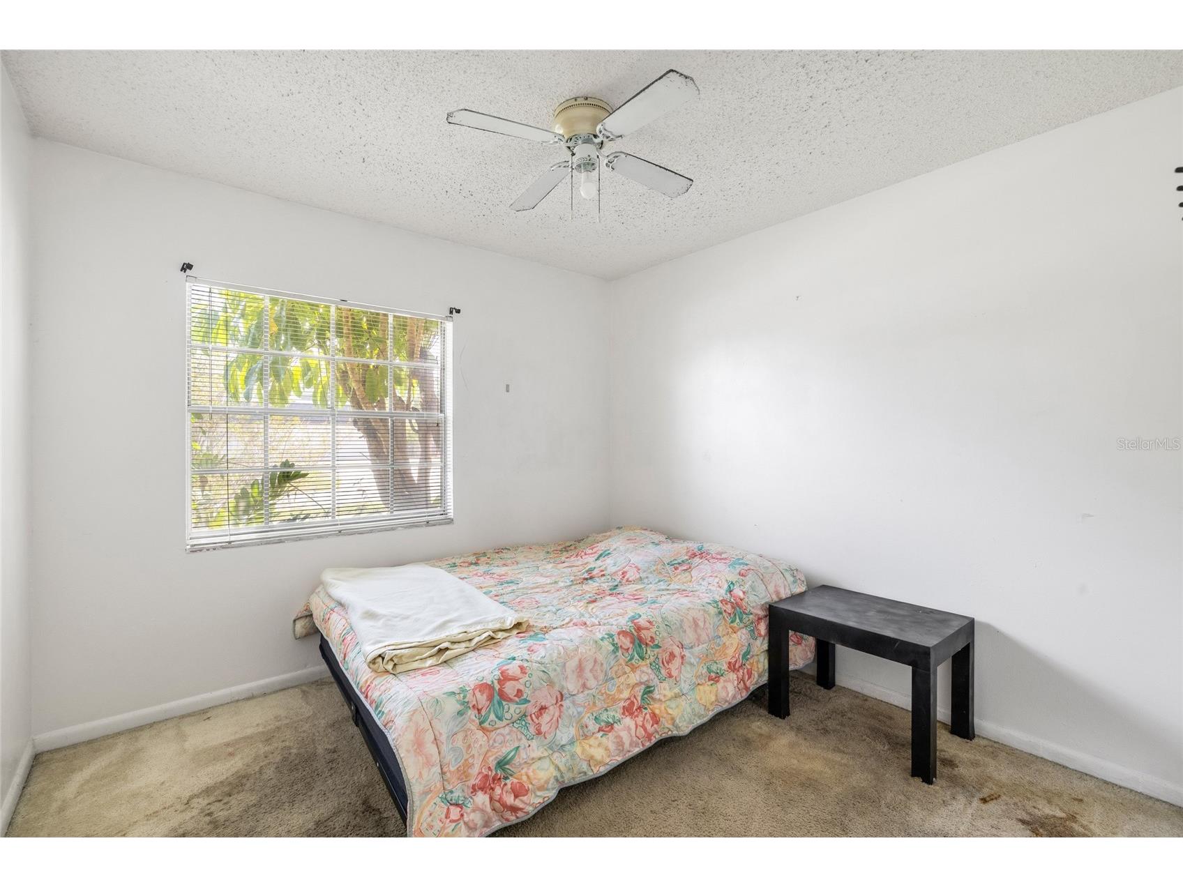 4709 Travertine Drive Tampa FL 33615 TB8526267 image20