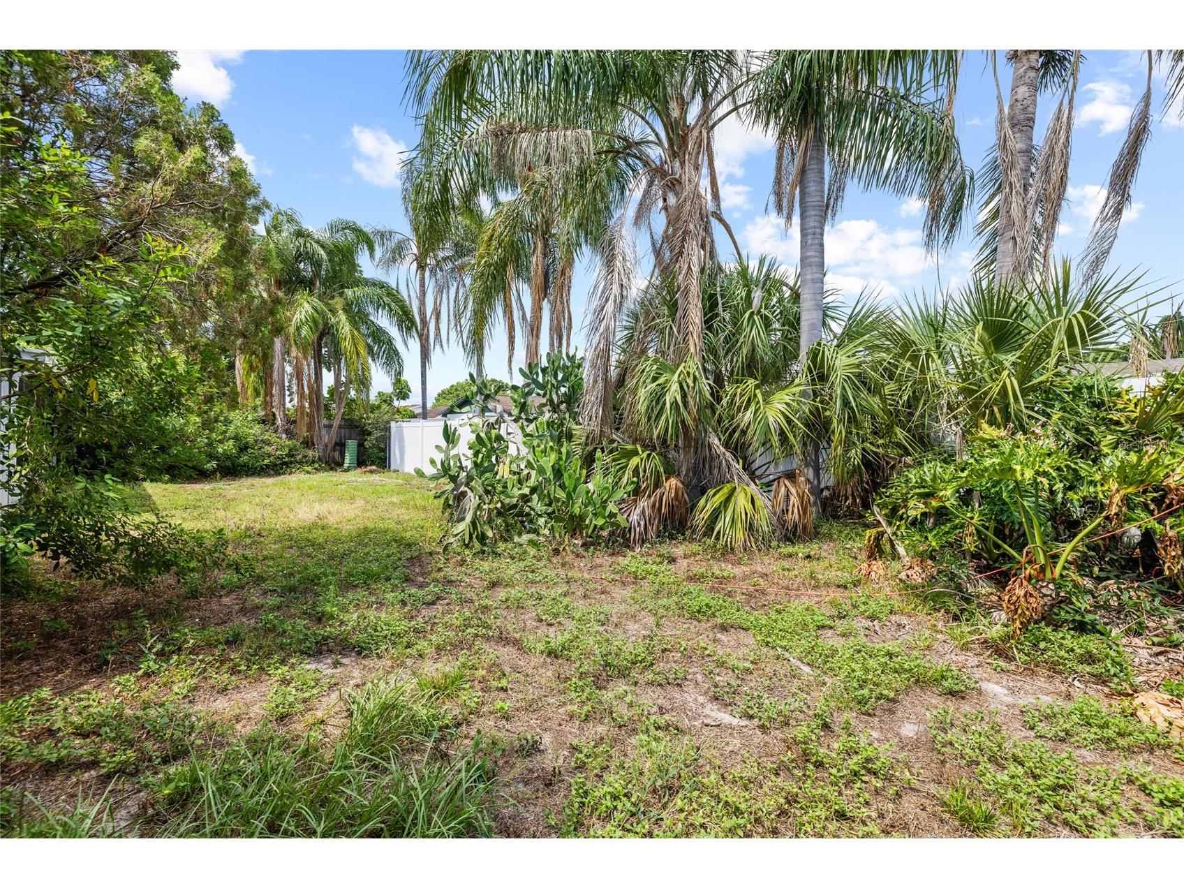 4709 Travertine Drive Tampa FL 33615 TB8526267 image26