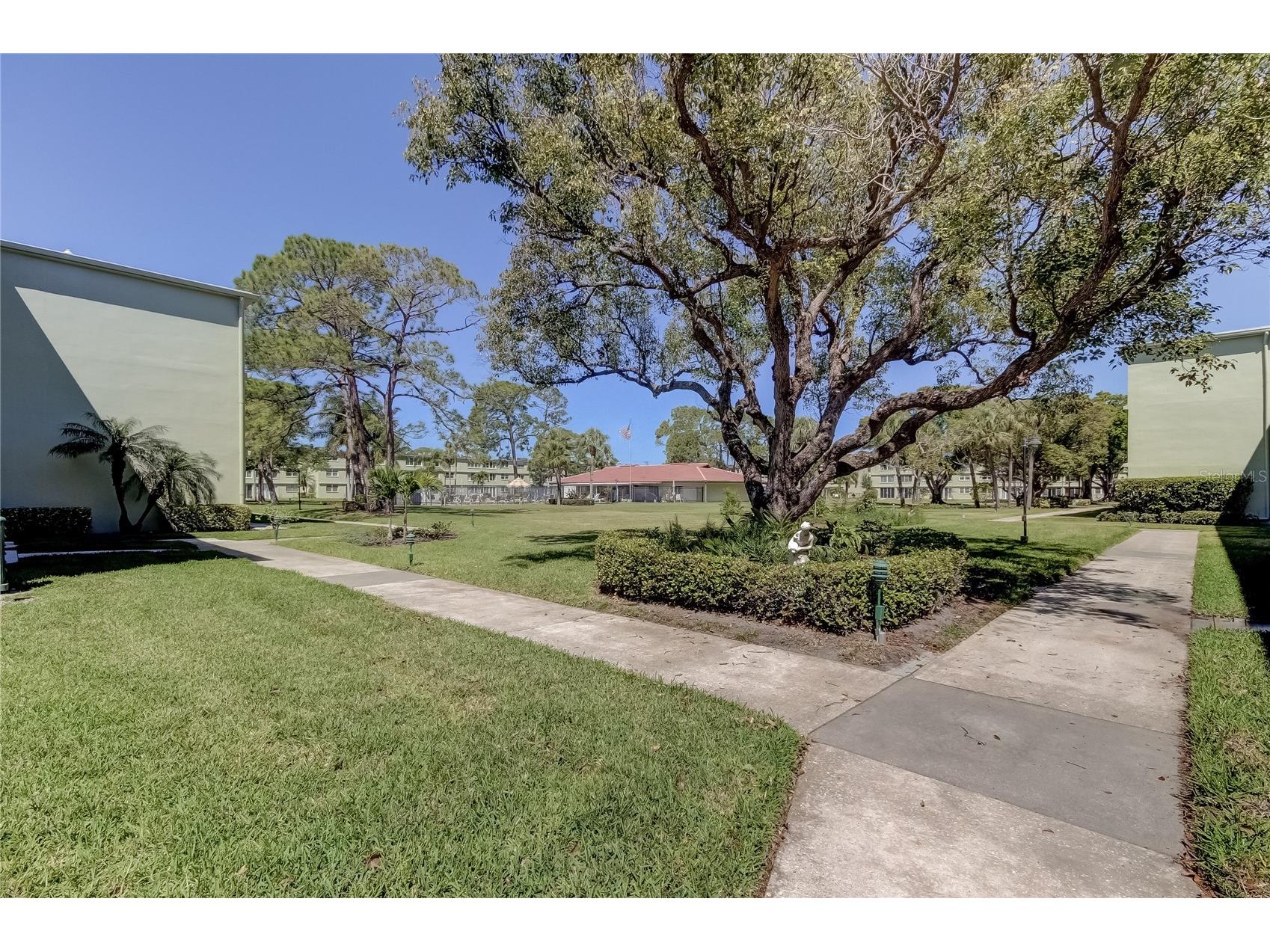 4710 Bay Street NE #204 Saint Petersburg FL 33703 TB8478358 image27