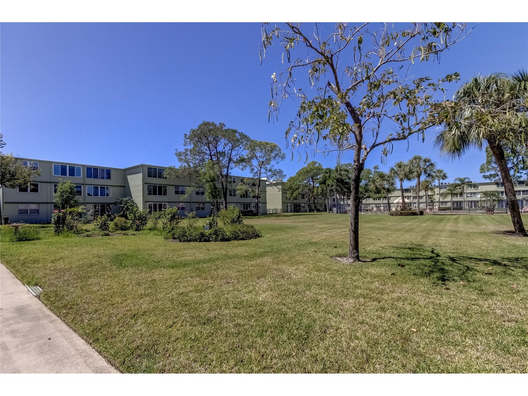 4710 Bay Street NE #204 Saint Petersburg FL 33703 TB8478358 image29