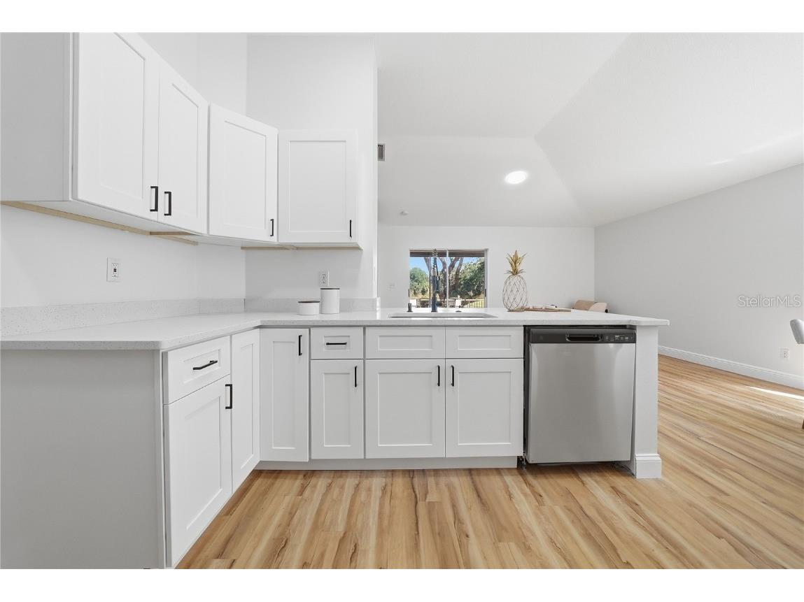 4710 Little Denise Court Valrico FL 33594 TB8445292 image21