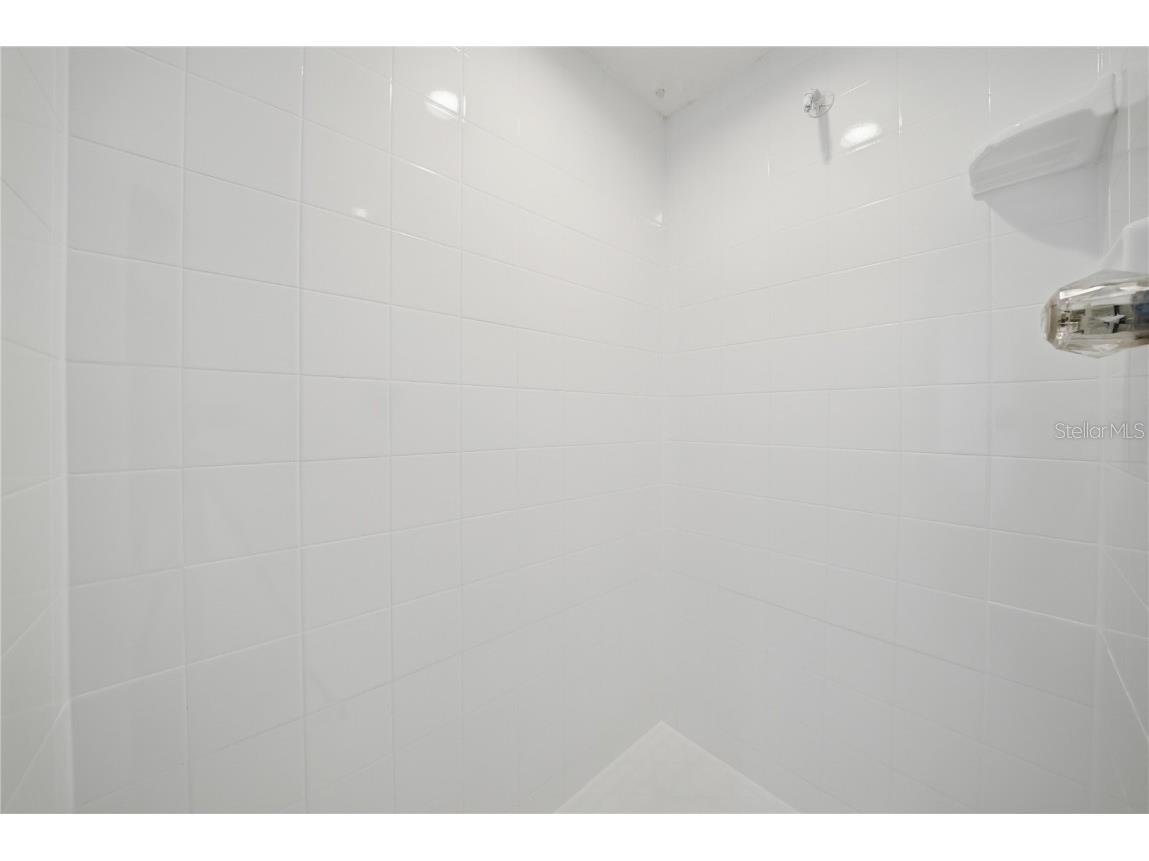 4710 Little Denise Court Valrico FL 33594 TB8445292 image40