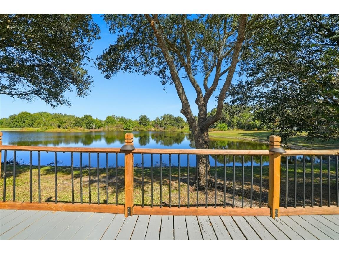 4710 Little Denise Court Valrico FL 33594 TB8445292 image57