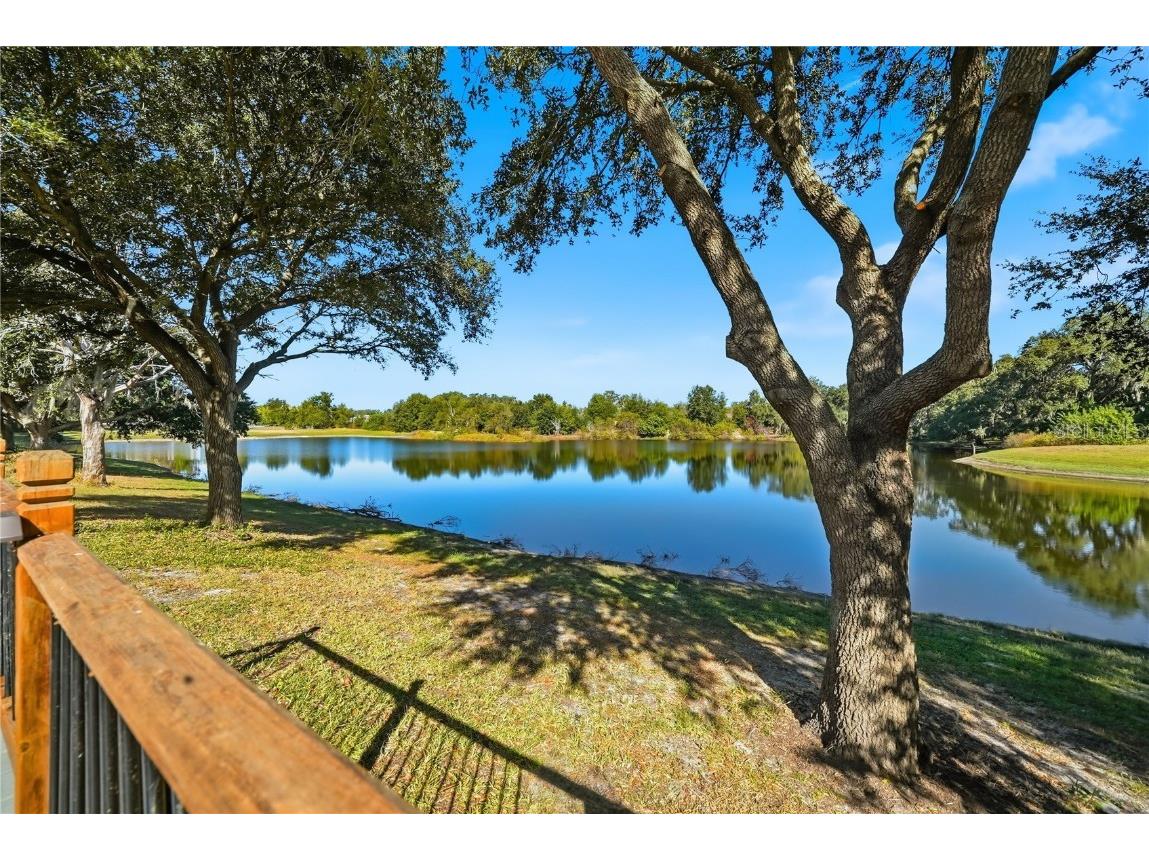 4710 Little Denise Court Valrico FL 33594 TB8445292 image58