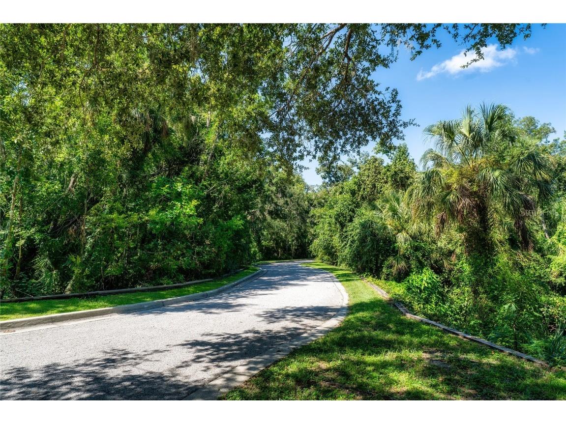 4710 Rambling River Road Brandon FL 33511 TB8419701 image1