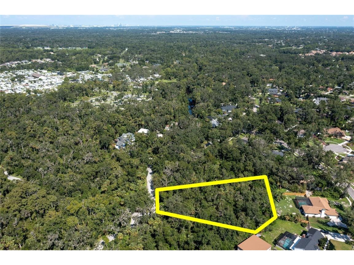 4710 Rambling River Road Brandon FL 33511 TB8419701 image10