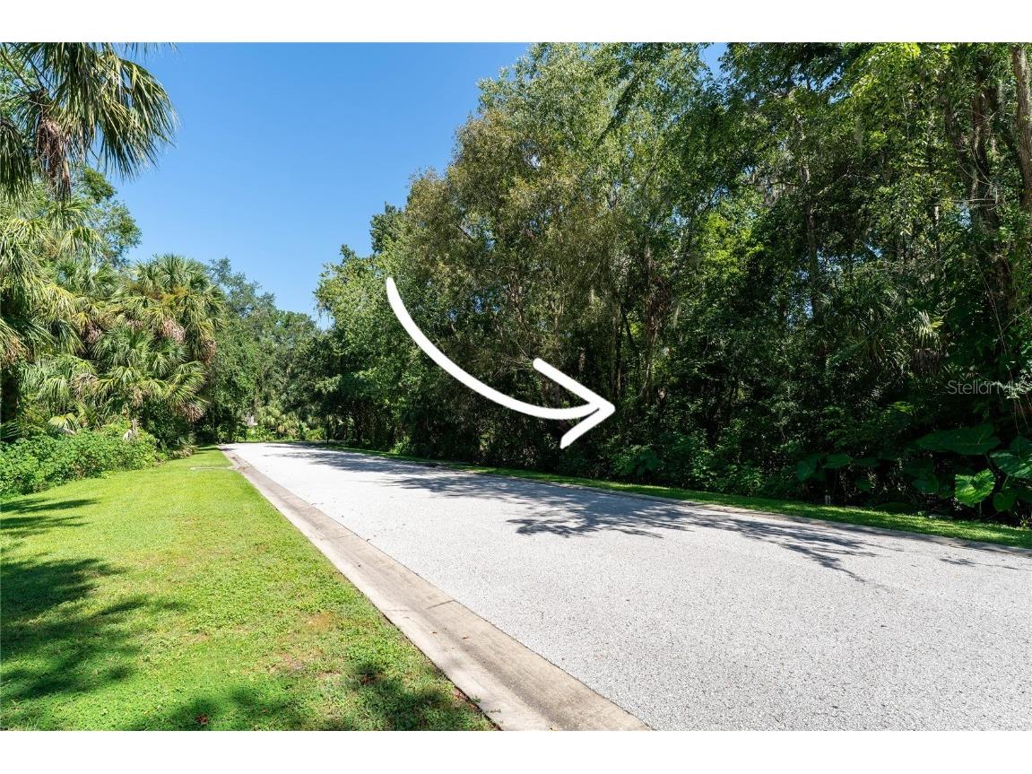 4710 Rambling River Road Brandon FL 33511 TB8419701 image7