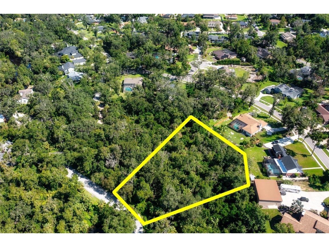 4710 Rambling River Road Brandon FL 33511 TB8419701 image9