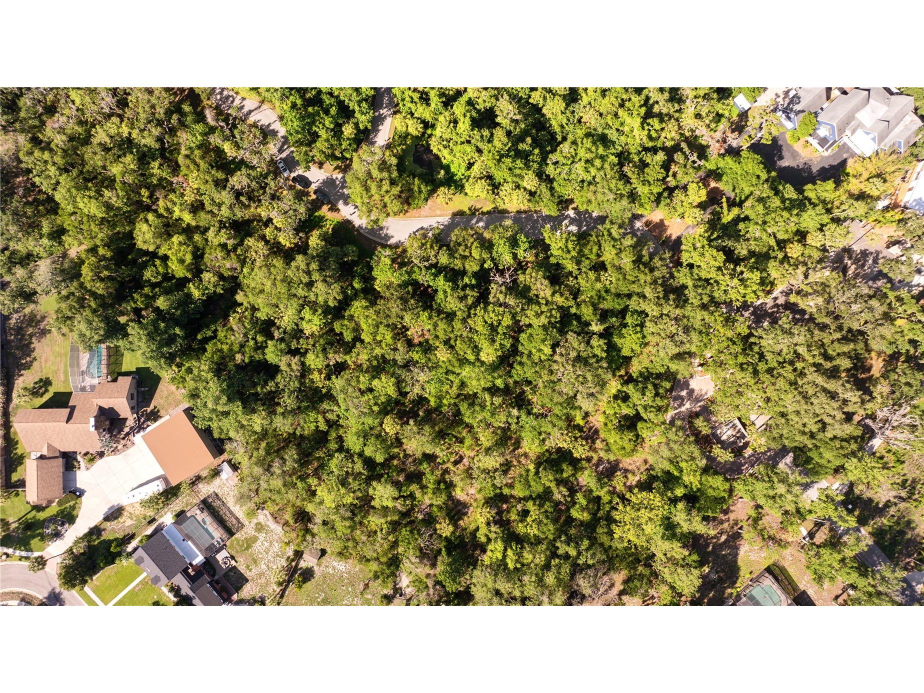 4710 Rambling River Road Brandon FL 33511 TB8517542 image3