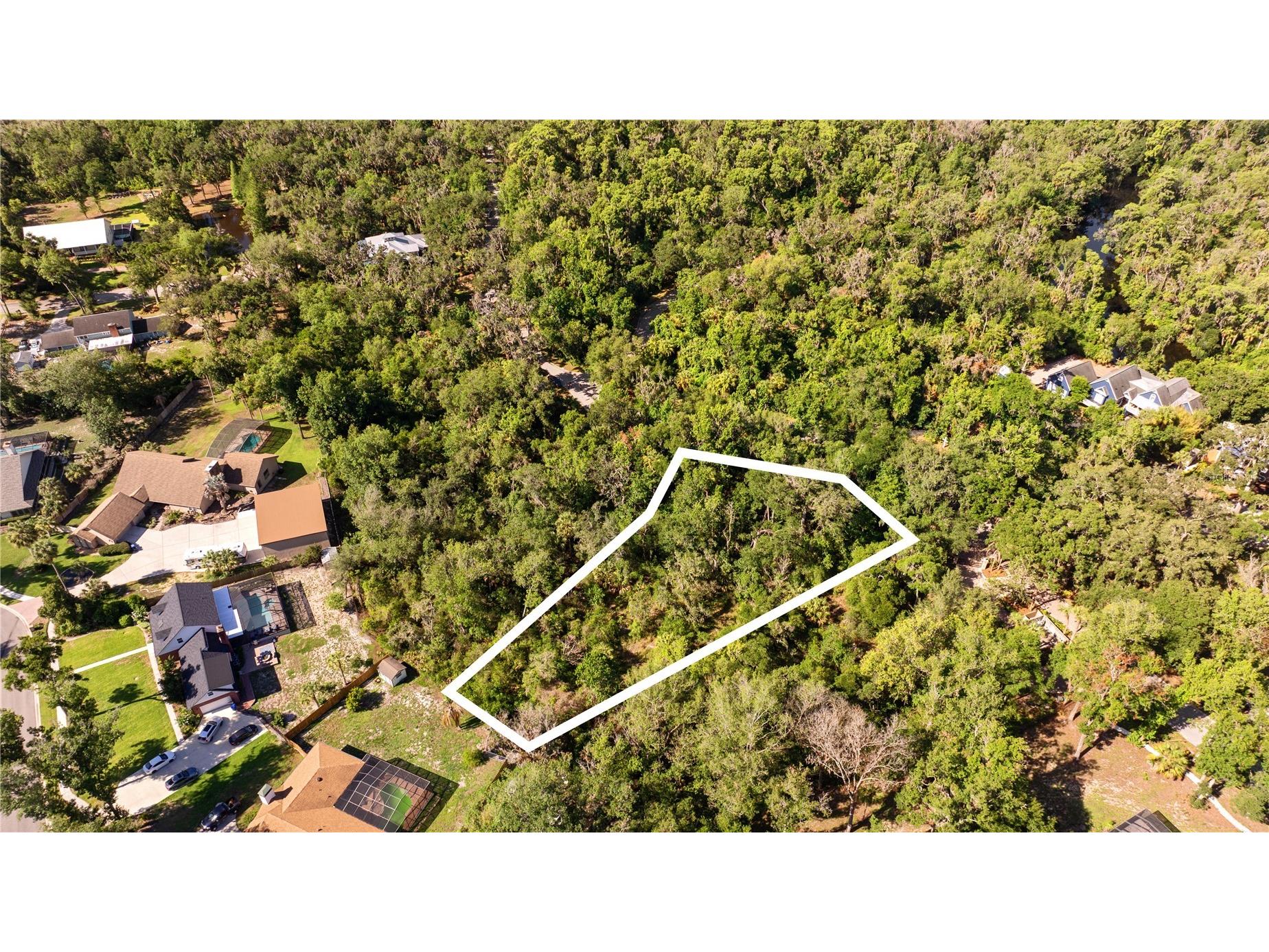 4710 Rambling River Road Brandon FL 33511 TB8517542 image4