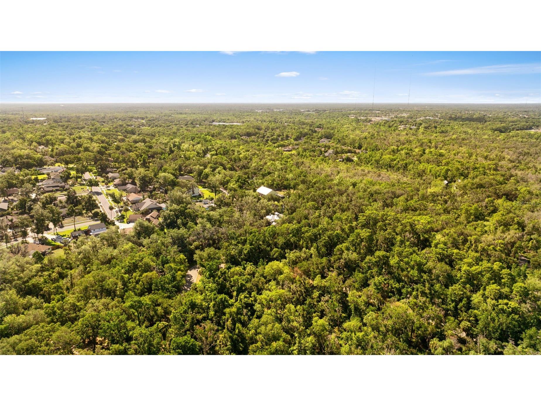4710 Rambling River Road Brandon FL 33511 TB8517542 image5