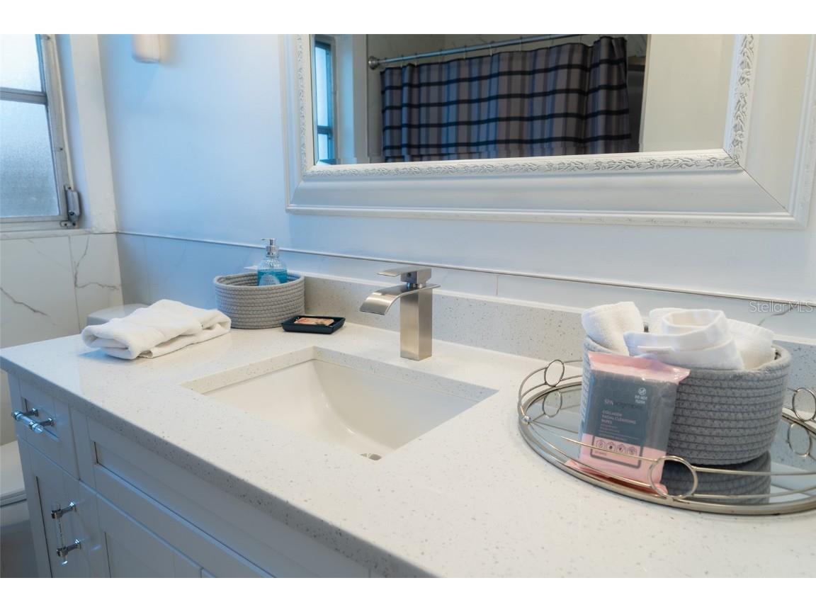 4710 Shale Place Tampa FL 33615 TB8449374 image15