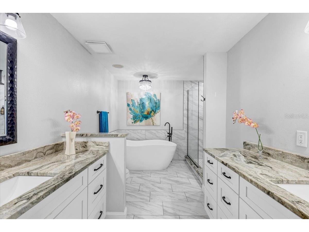 4710 Stearns Road Valrico FL 33596 TB8490214 image33