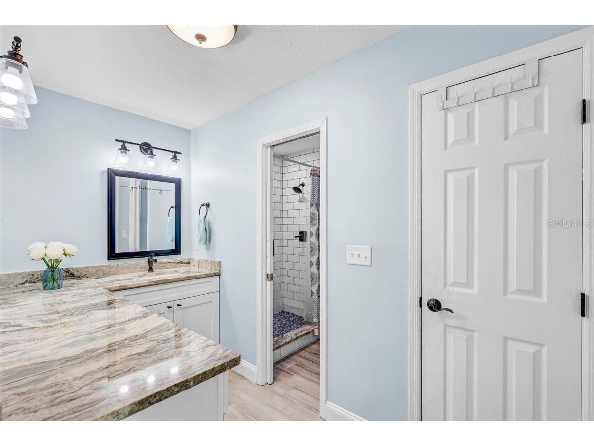 4710 Stearns Road Valrico FL 33596 TB8490214 image44