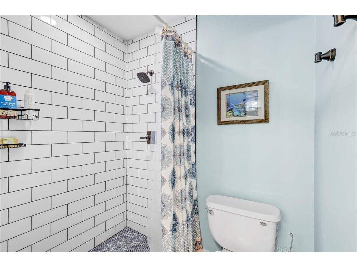 4710 Stearns Road Valrico FL 33596 TB8490214 image46