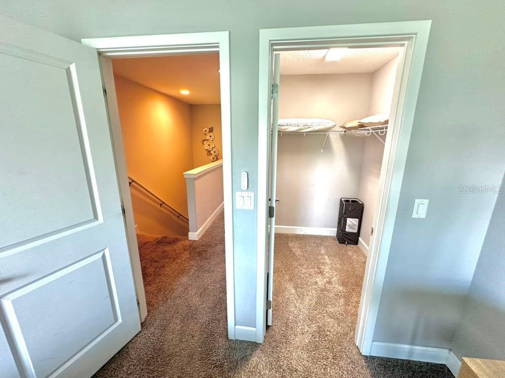 4710 Terra Esmeralda Drive Kissimmee FL 34746 O6416976 image24