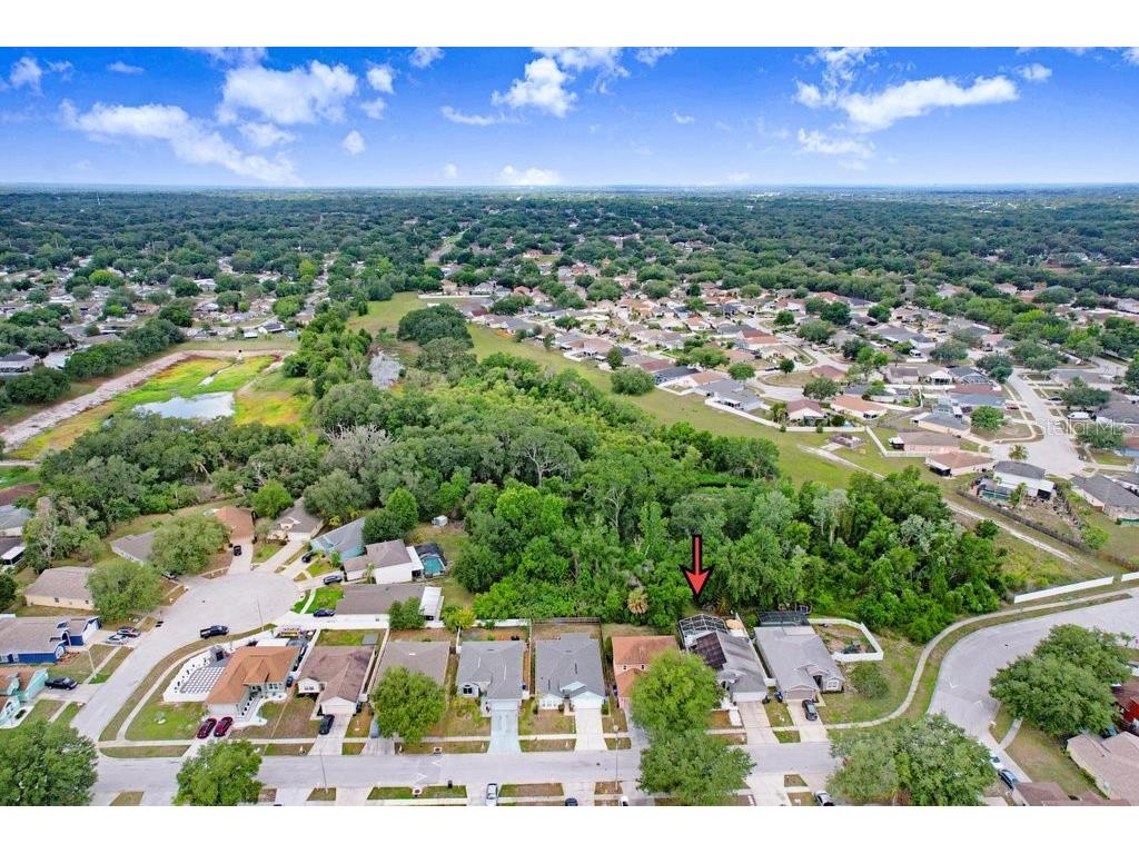 4711 Copper Canyon Boulevard Valrico FL 33594 TB8499123 image30