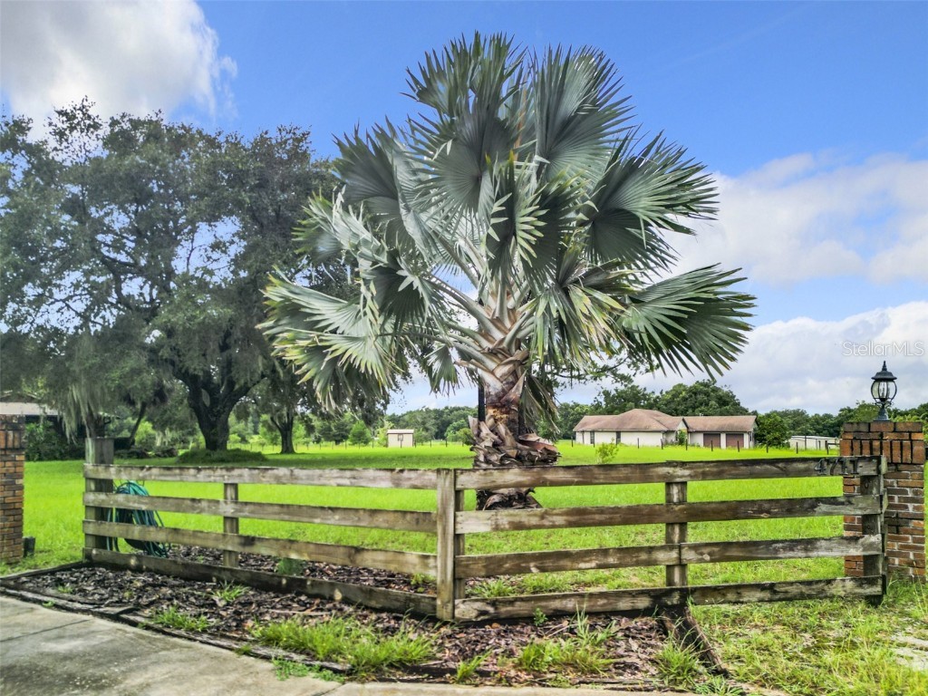 4711 County Road 134 Wildwood FL 34785 O6242568 image68