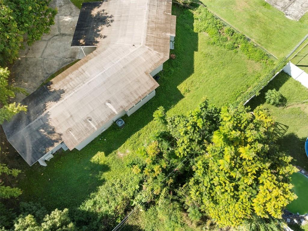 4711 Eggleston Avenue Orlando FL 32804 O6353545 image14