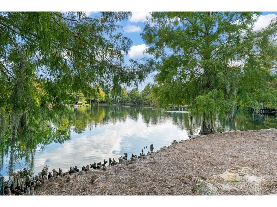 4711 Joanna Garden Ct Windermere FL 34786 - LAKE BUTLER CHAIN OF LAKES O6359789 image63