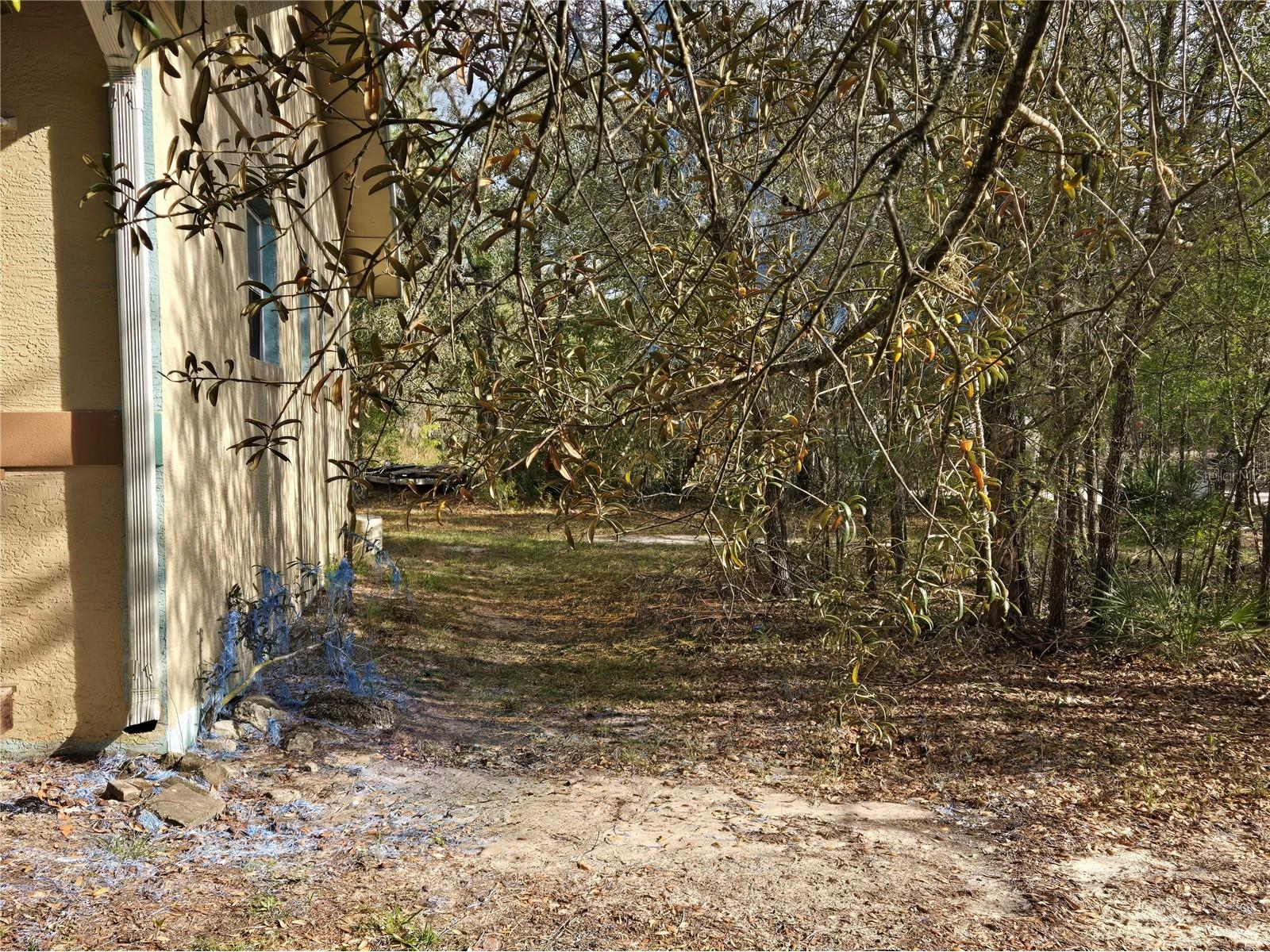 4711 S Hawkdale Point Lecanto FL 34461 OM725898 image2