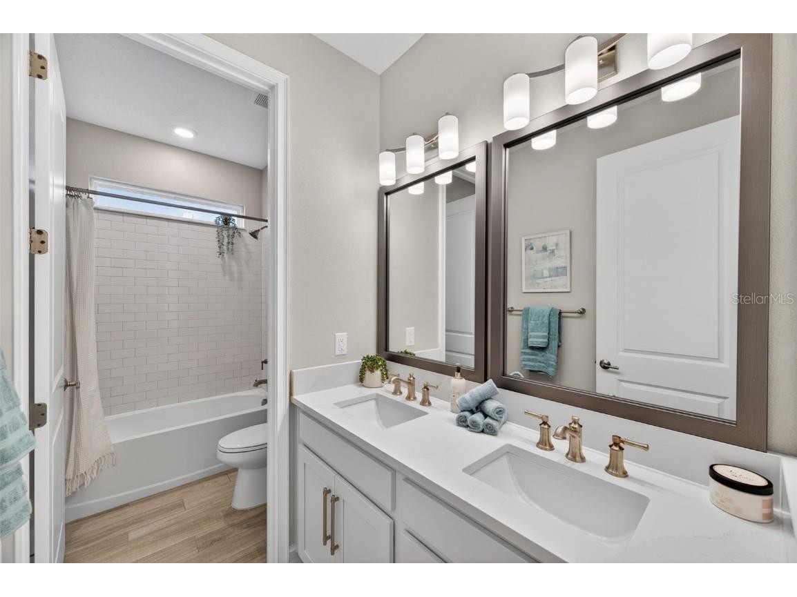 4711 San Martino Drive Wesley Chapel FL 33543 TB8461875 image16