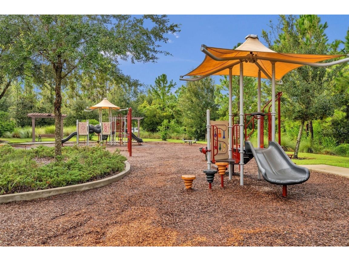 4711 San Martino Drive Wesley Chapel FL 33543 TB8461875 image57