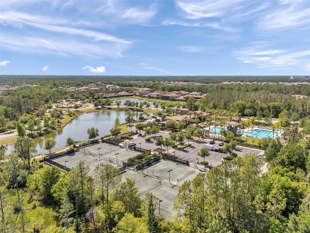 4711 San Martino Drive Wesley Chapel FL 33543 TB8461875 image77