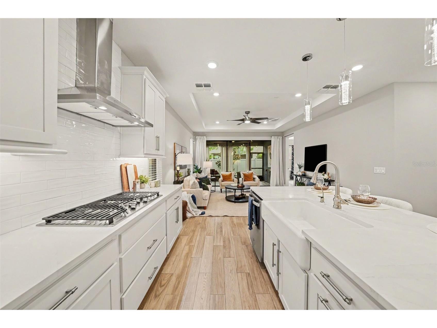 4711 San Martino Drive Wesley Chapel FL 33543 TB8531466 image13