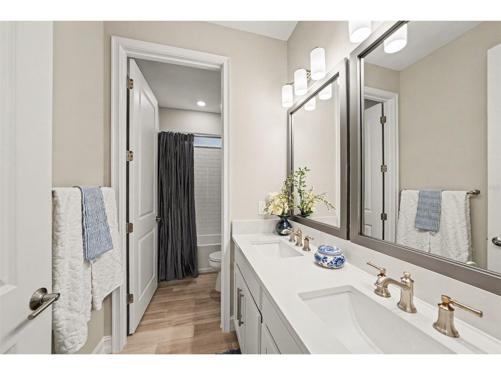 4711 San Martino Drive Wesley Chapel FL 33543 TB8531466 image20