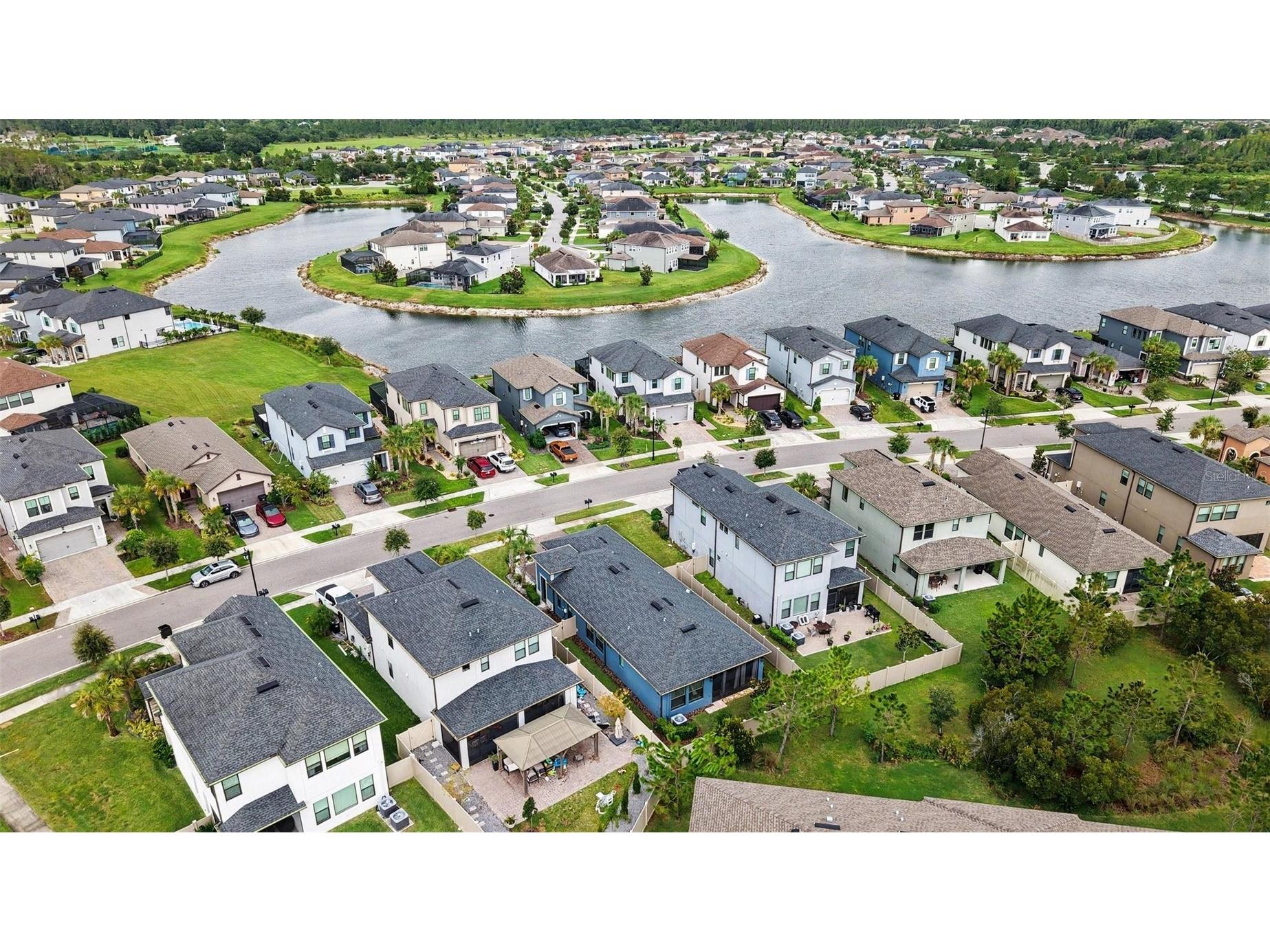 4711 San Martino Drive Wesley Chapel FL 33543 TB8531466 image27