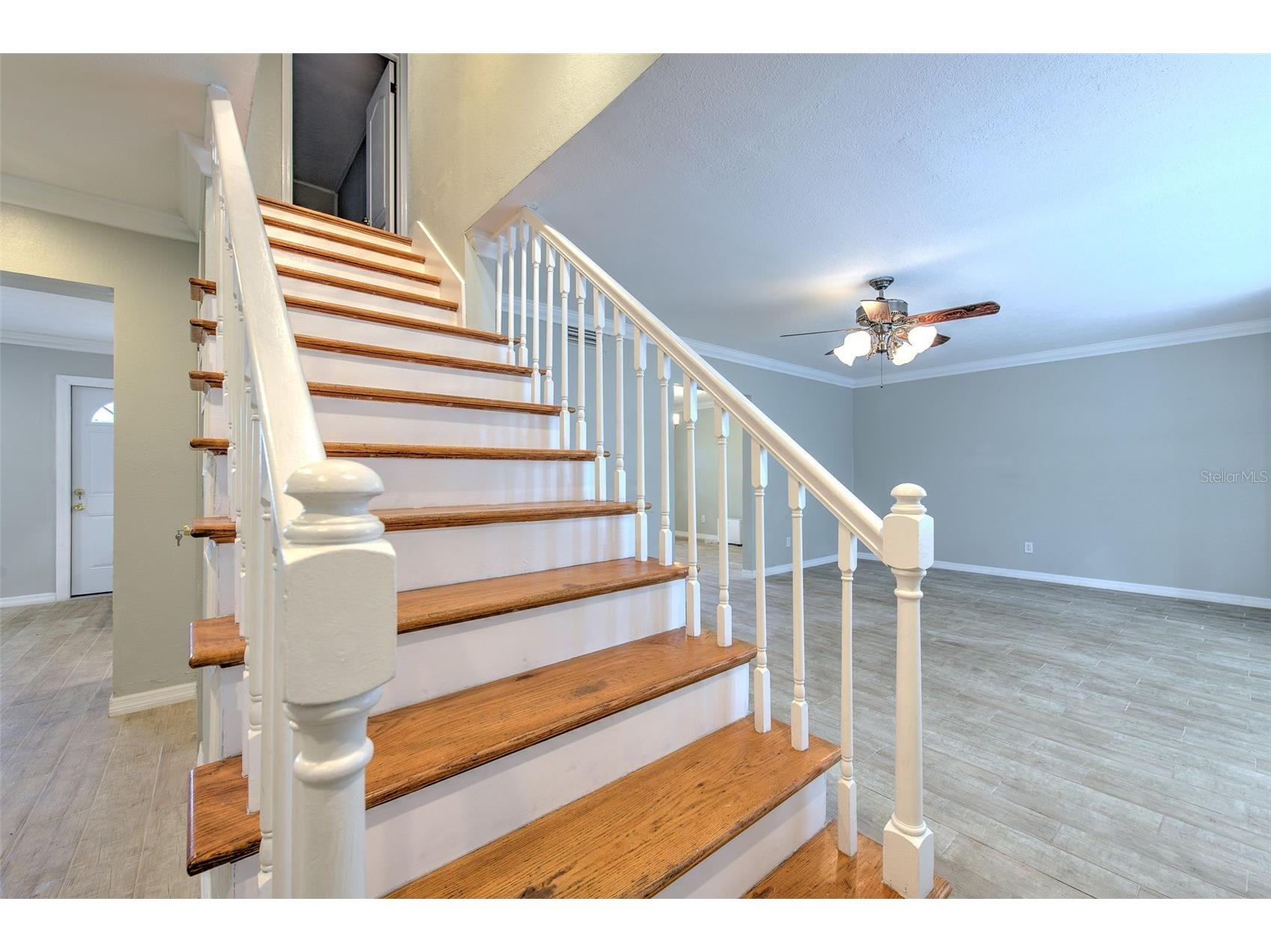 4711 W San Rafael Street Tampa FL 33629 TB8513431 image38