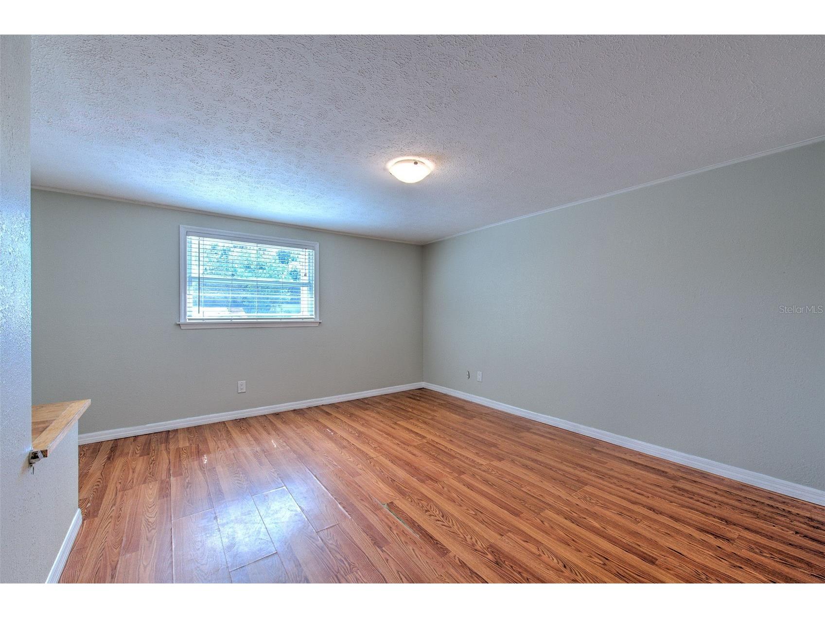 4711 W San Rafael Street Tampa FL 33629 TB8513431 image46