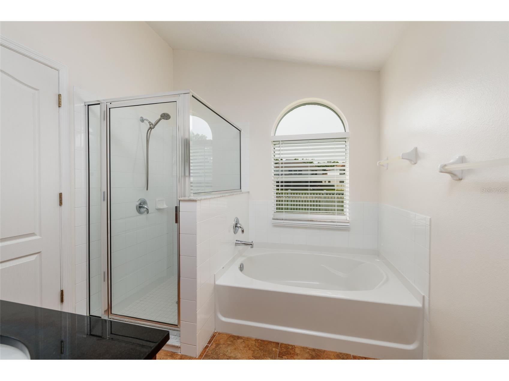 4711 Wessex Way Land O Lakes FL 34639 TB8509464 image25