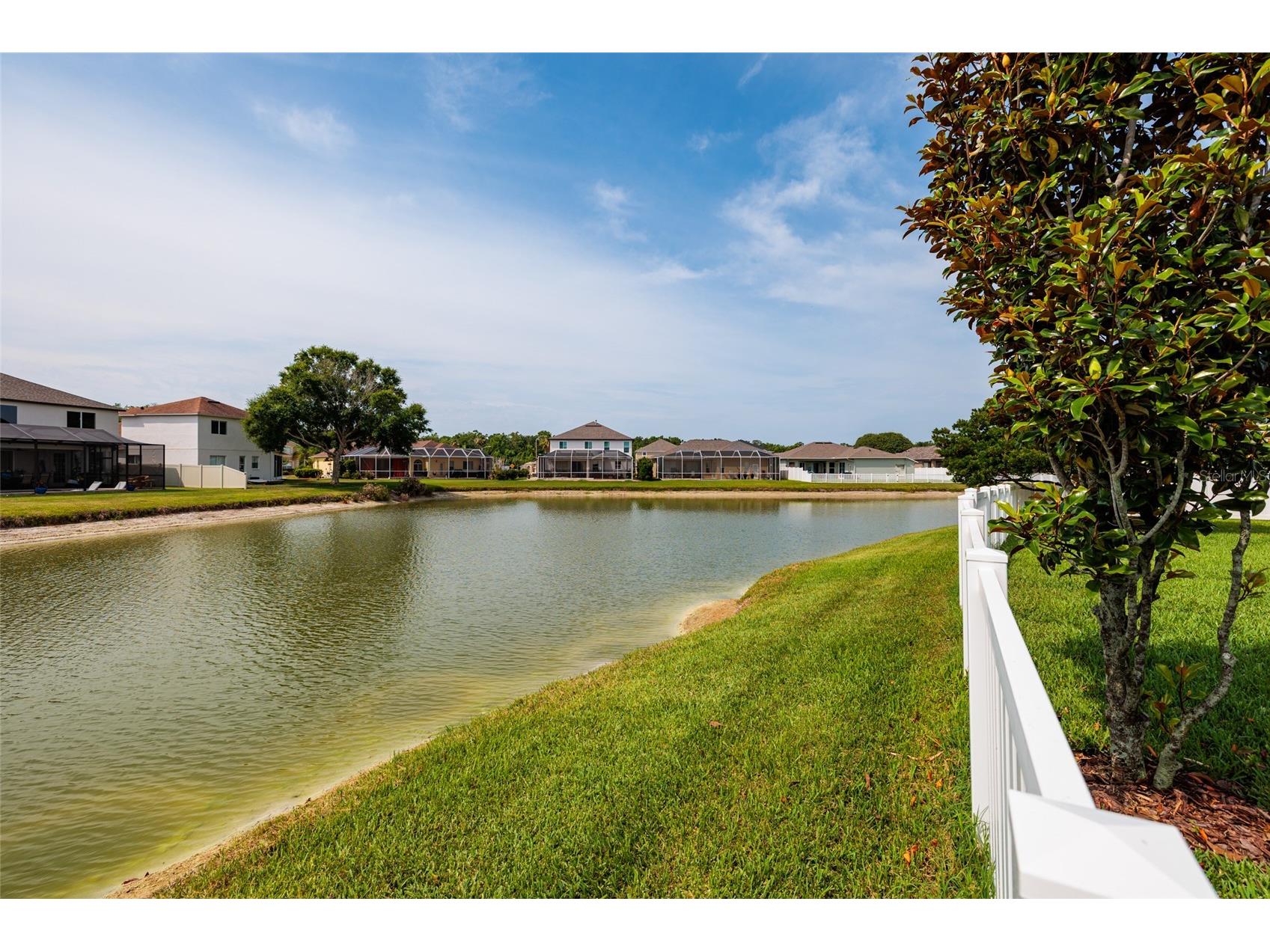 4711 Wessex Way Land O Lakes FL 34639 TB8509464 image43