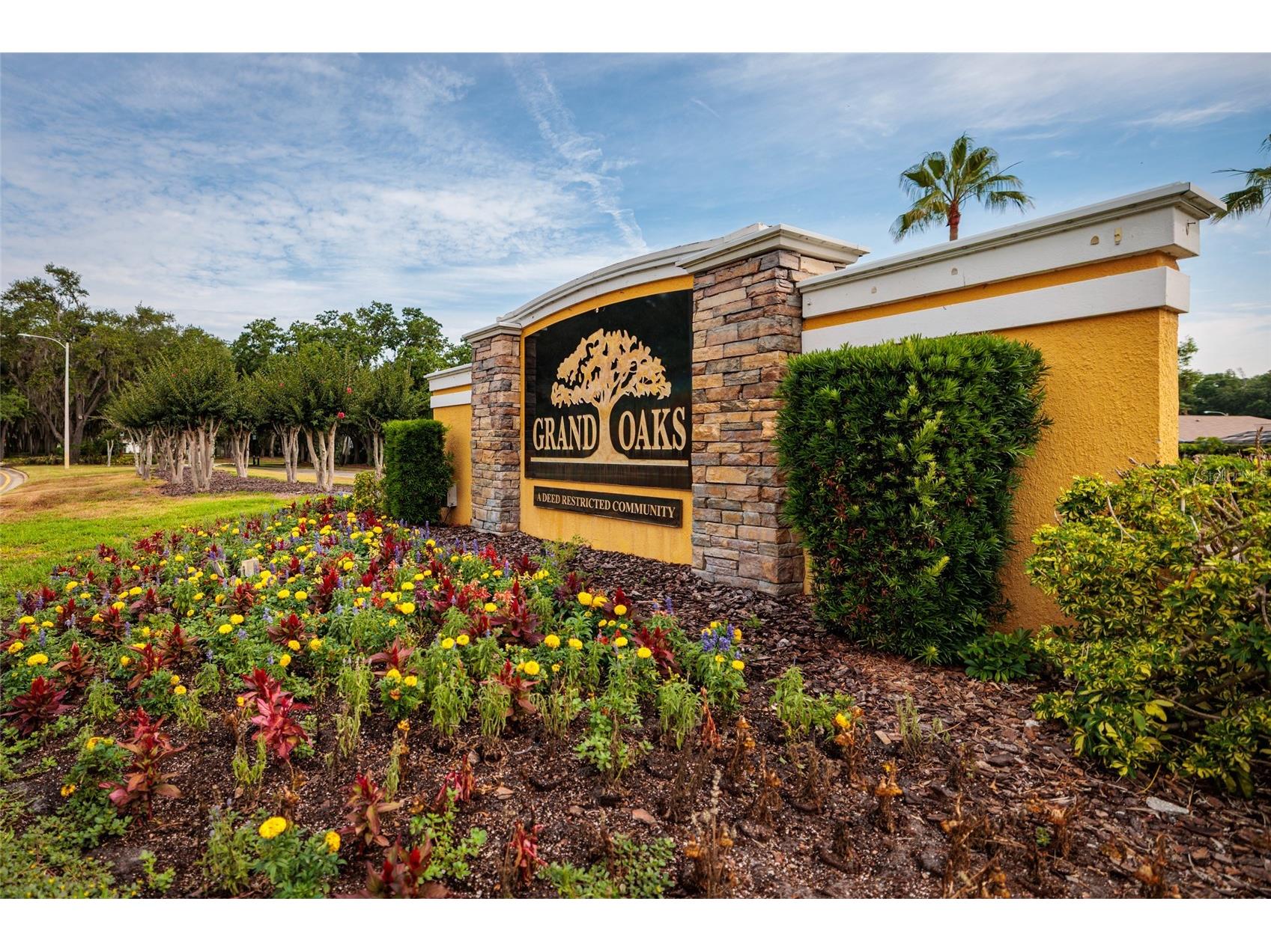 4711 Wessex Way Land O Lakes FL 34639 TB8509464 image72